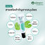 ภูมิพฤกษา อายครีม บำรุงผิวรอบดวงตา (30g.)