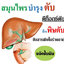 ยาแคปซูลลูกใต้ใบ ปฐมอโศก (50 แคปซูล) แก้ไข้ แก้ร้อนใน บำรุงตับ ลดไขมันในตับ