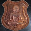 เหรียญ หลวงปู่ทวดหลังพระนเรศวรทรงม้าชนะศึก วัดเขาดีสลัก จ.สุพรรณบุรี รุ่นตำรวจกล้ามัฆวาน เนื้อทองแดง ปี ๒๕๕๗