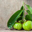 การ์ซีเนีย แคปซูล Garcinia Capsule (อ้วยอันโอสถ) 100 แคปซูล