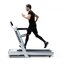 ลู่วิ่งไฟฟ้า Treadmill Horizon Omega Z