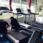 รับซ่อมลู่วิ่งไฟฟ้าทุกยี่ห้อ