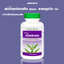 Herbal One ยาแคปซูล เหงือกปลาหมอ 100 Caps.