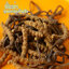Cordycpes-Plus ตังถั่งเฉ้าพลัส 30 แคปซูล โสม+เห็ดหลินจือ