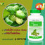 ยาแคปซูลลูกยอ อ้วยอันโอสถ (Herbal One)